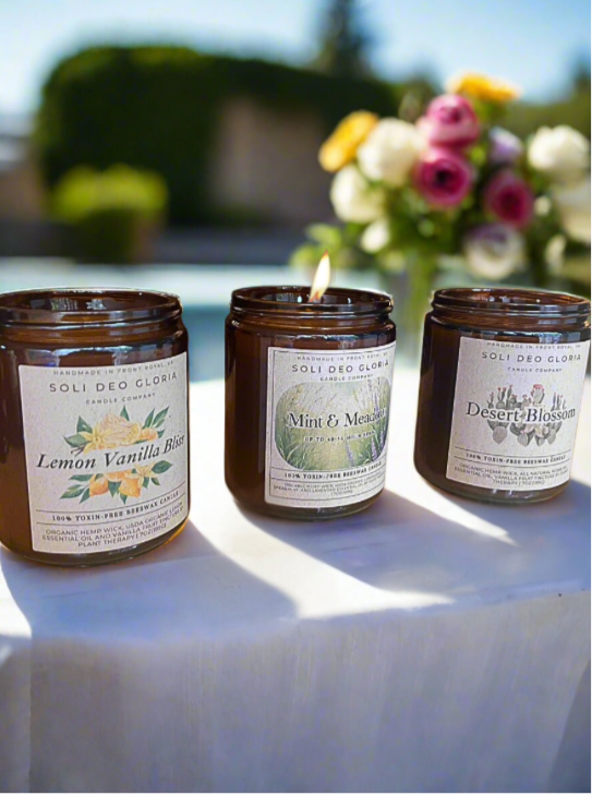 End Of Summer Favorites Bundle | 3 Pack | Minty, Fresh, Citrus, Sweet