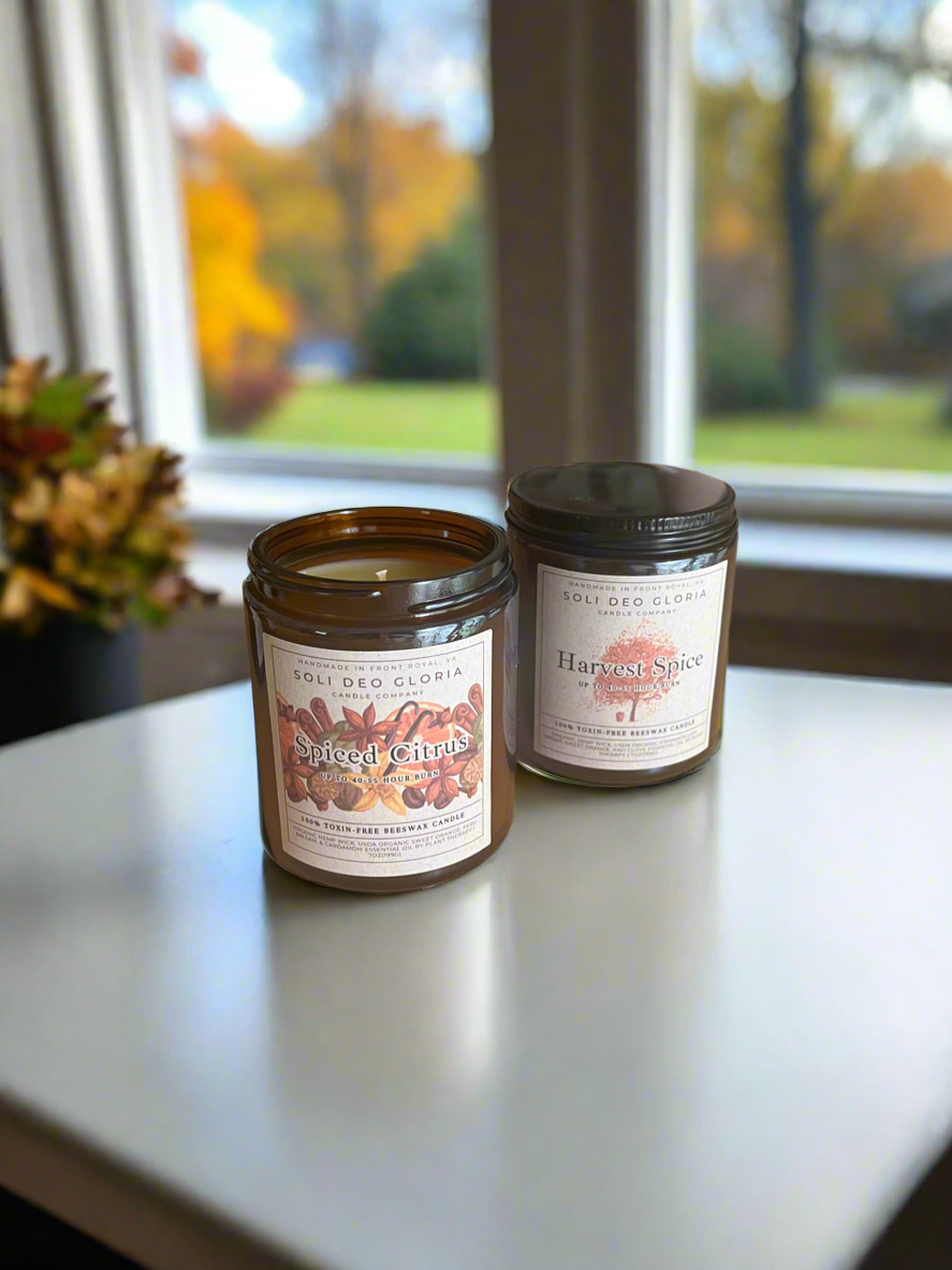 Fall Bundle | 4 Pack | Pumpkin, Spice, Citrus, Vanilla