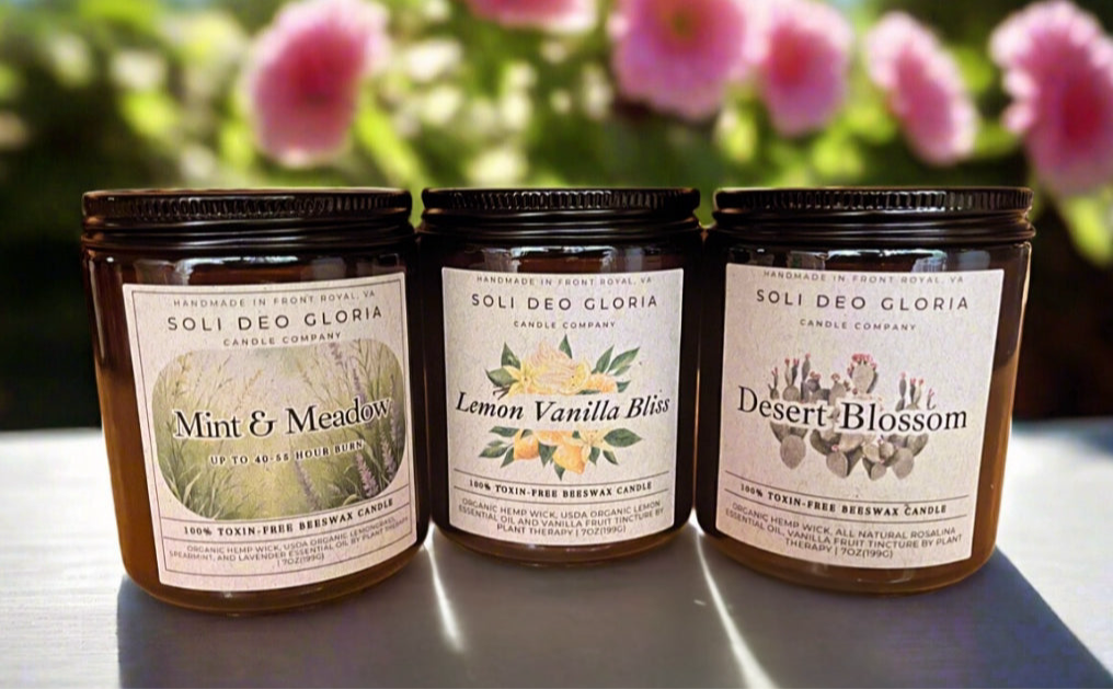 End Of Summer Favorites Bundle | 3 Pack | Minty, Fresh, Citrus, Sweet