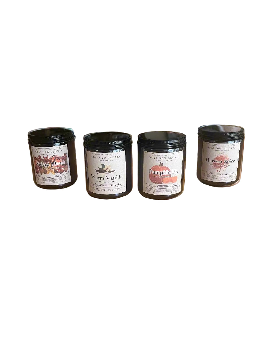 Fall Bundle | 4 Pack | Pumpkin, Spice, Citrus, Vanilla