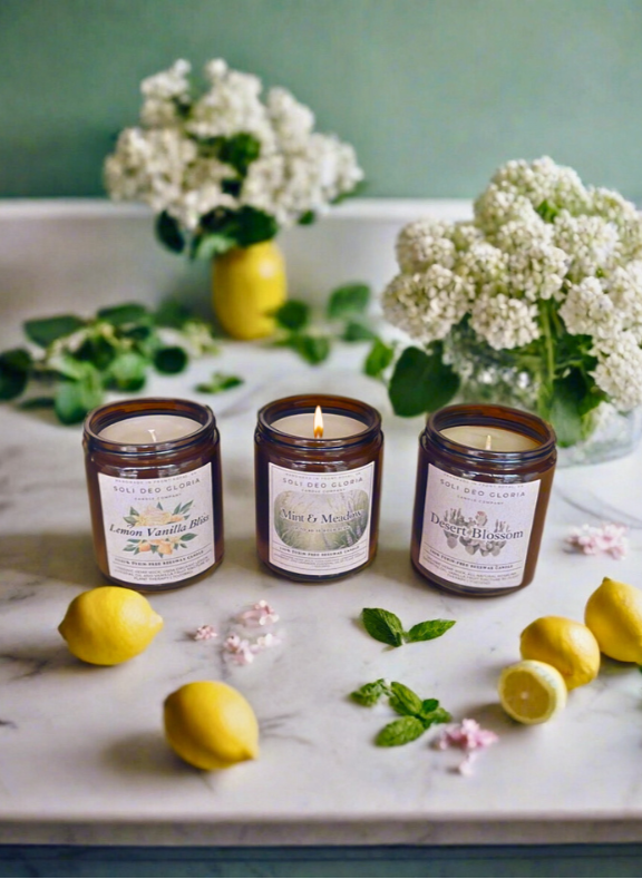 End Of Summer Favorites Bundle | 3 Pack | Minty, Fresh, Citrus, Sweet