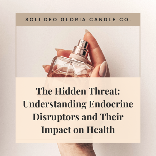 Endocrine Disruptors: Common Sources, Health Effects, and How to Reduce Toxin Exposure