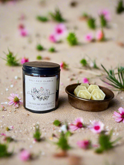 Wax Melts | All Scents and Sizes