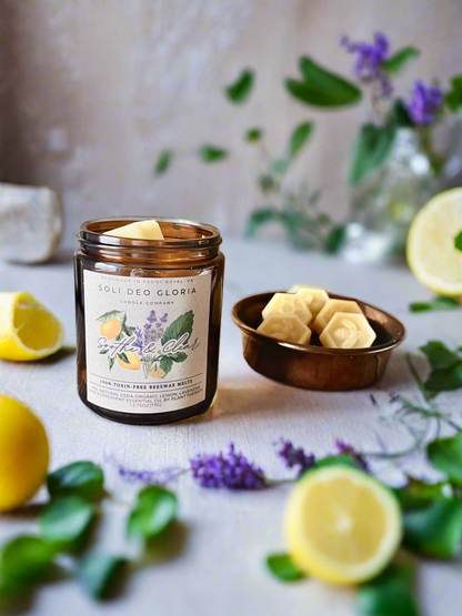 Wax Melts | All Scents and Sizes