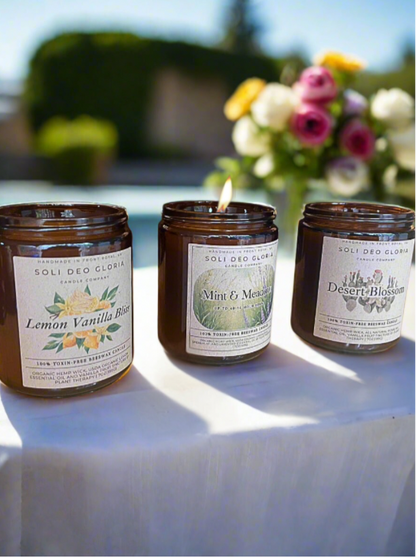 End Of Summer Favorites Bundle | 3 Pack | Minty, Fresh, Citrus, Sweet