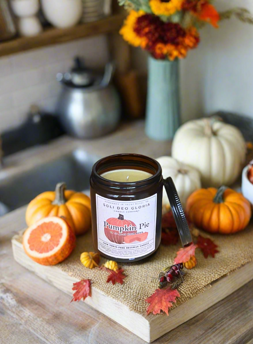 Fall Bundle | 4 Pack | Pumpkin, Spice, Citrus, Vanilla
