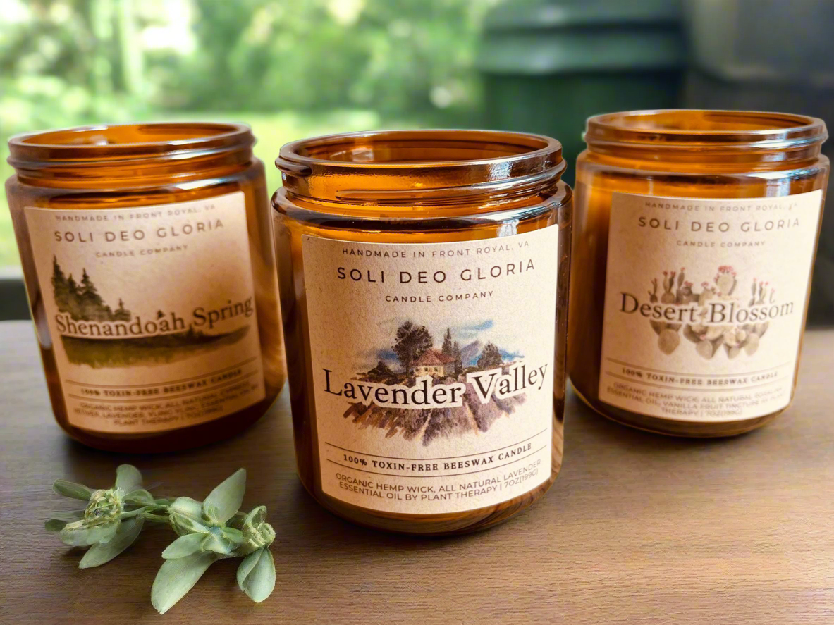 Veritas & Vitalis Spring Collection | 4 Pack | Floral, Fresh, Sweet