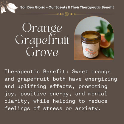 Orange Grapefruit Grove | Organic Essential Oil Infused