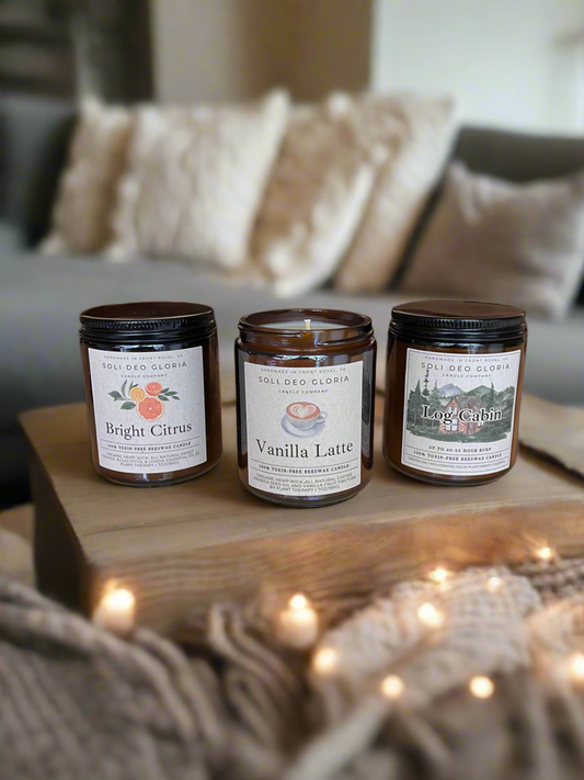Cozy Classics ~ Newly Revamped | 3 Pack | Coffee, Citrus, Sweet