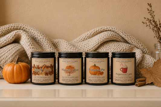 Fall Bundle | 4 Pack | Pumpkin, Spice, Citrus, Warm