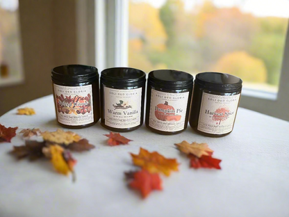 Fall Bundle | 4 Pack | Pumpkin, Spice, Citrus, Vanilla