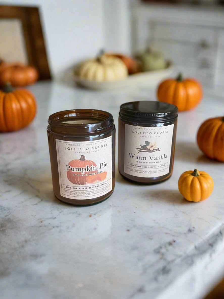 Fall Bundle | 4 Pack | Pumpkin, Spice, Citrus, Vanilla