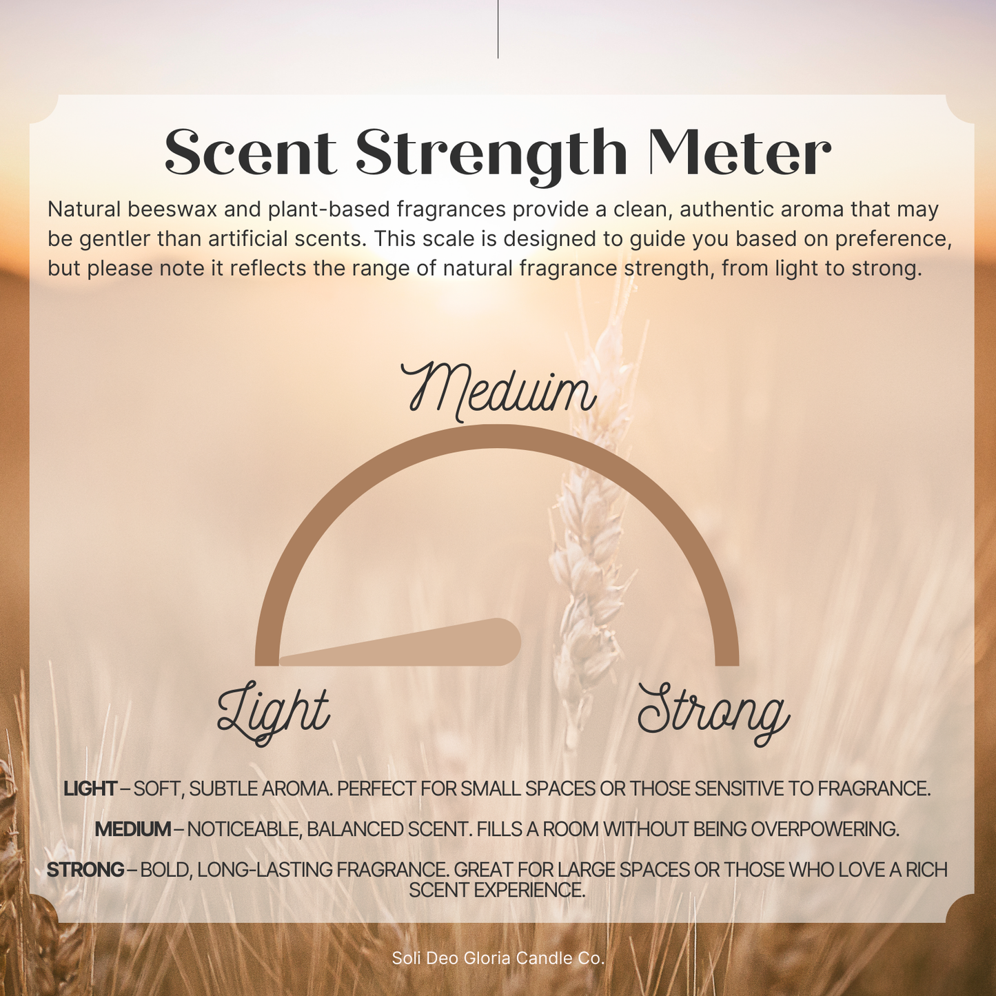 Warm Vanilla | Plant Extract Infused | Candles & Melts