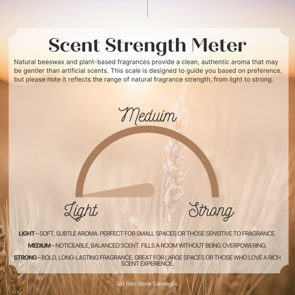Warm Vanilla | Plant Extract Infused | Candles & Melts