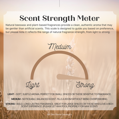 Lavender Valley | Organic Essential Oil Infused | Candles & Melts