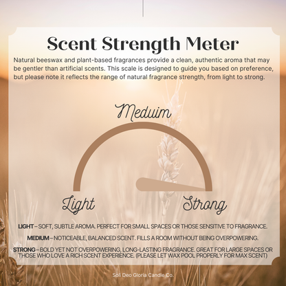 Soothe & Clear - Sinus Relief & Freshness | Organic Essential Oil Infused