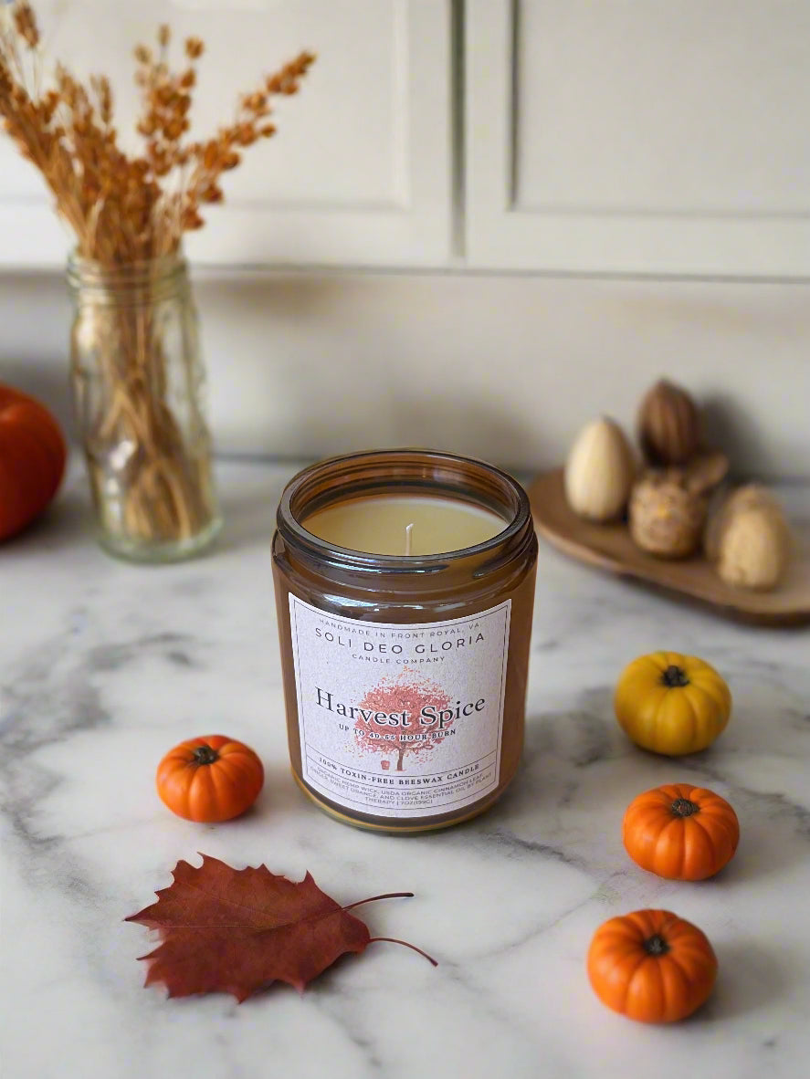 Fall Bundle | 4 Pack | Pumpkin, Spice, Citrus, Vanilla