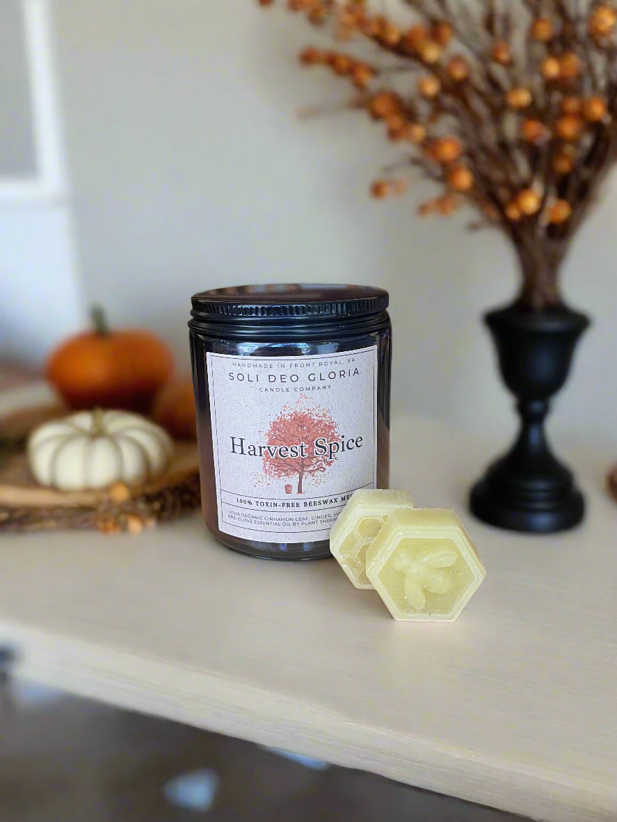 Wax Melts | All Scents and Sizes